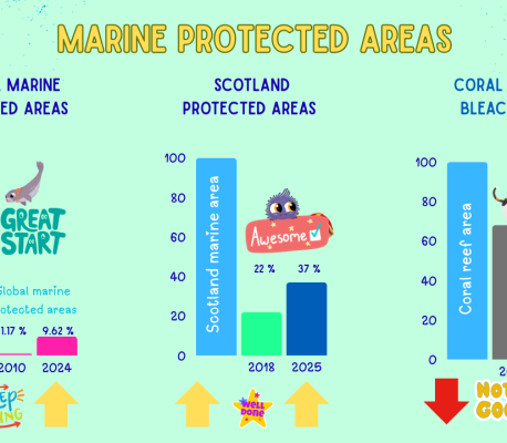 Infographic Oceand Scoreboard